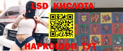 стафф Берёзовский