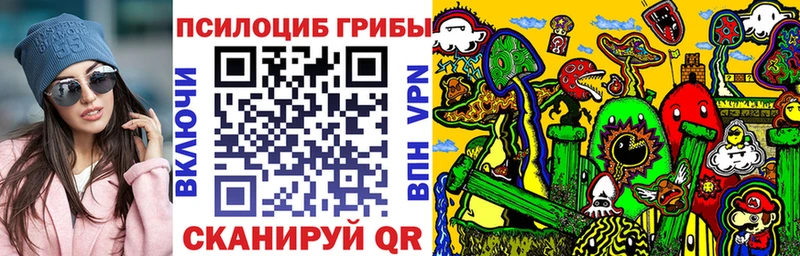 как найти наркотики  Назрань  Галлюциногенные грибы Cubensis 