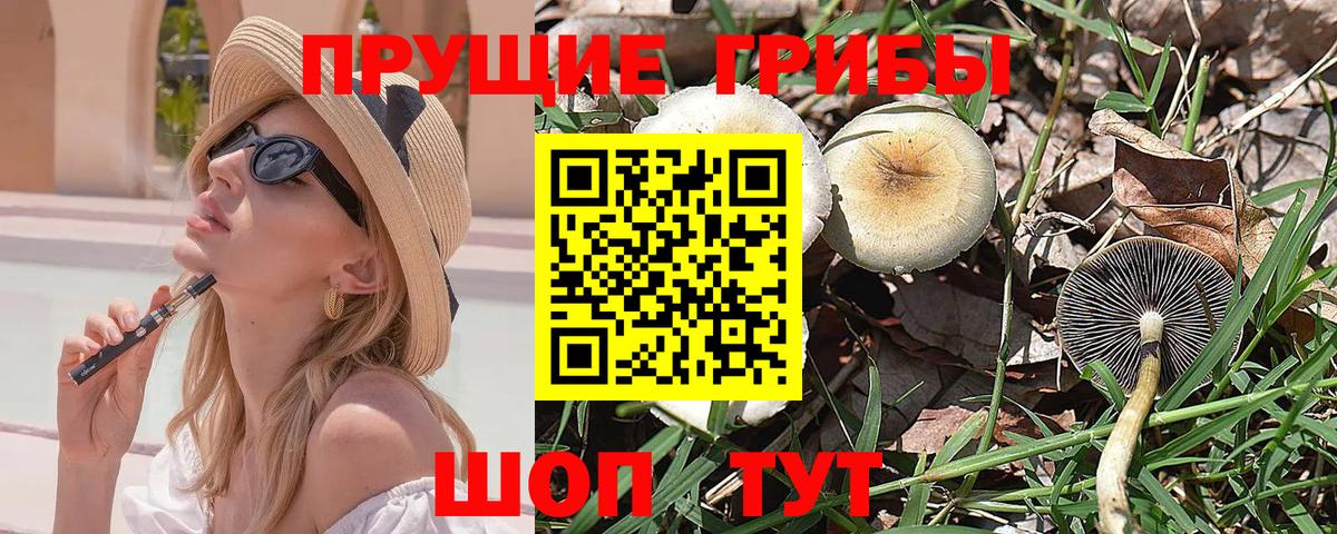 Галлюциногенные грибы мицелий Назрань