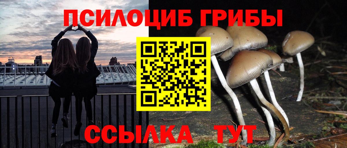 Псилоцибиновые грибы Psilocybine cubensis  Псилоцибиновые грибы MAGIC MUSHROOMS  Вход с VPN  Назрань 