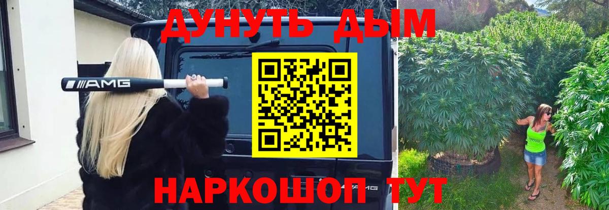 Бошки Шишки план Назрань